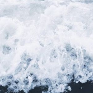 Meet your Posher, Paulette